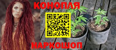 дурь Можайск